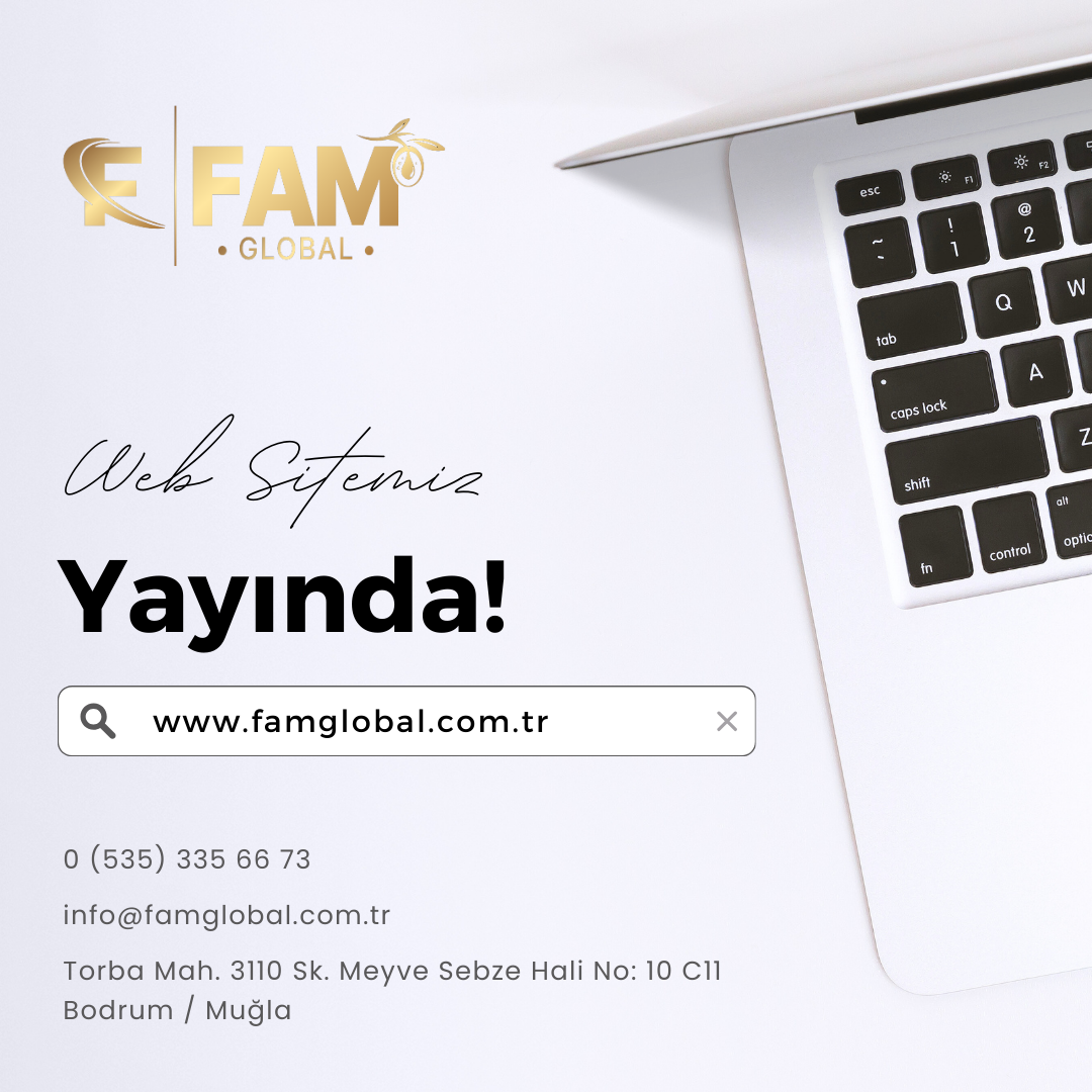 Fam Global Web Sitesi Yayında!